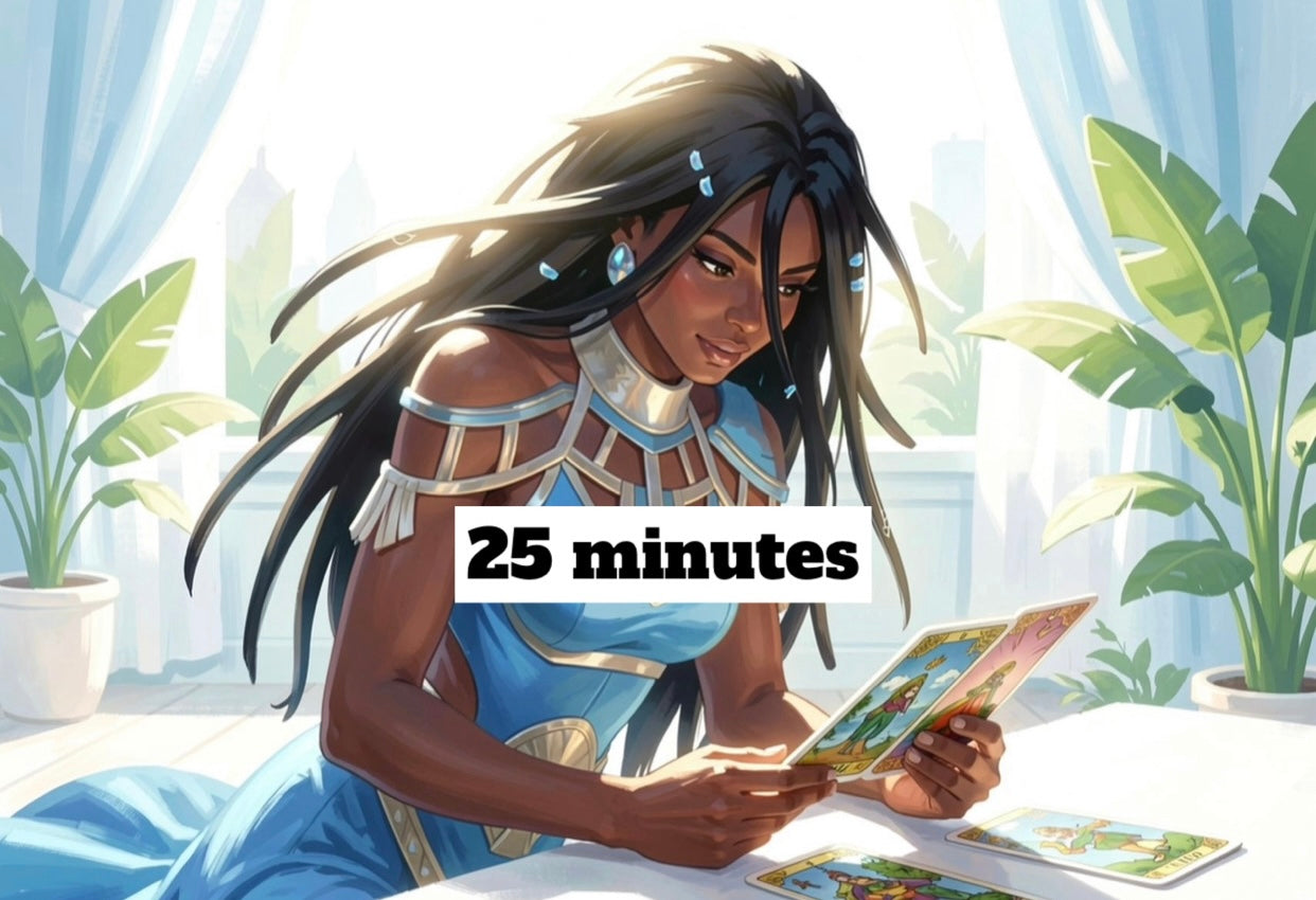 Guidance vidéo